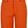 Dare2B Outmove Pant -Mammut Winkel dare2b outmove pant vibrant orange 116 5 6 vibrant orange 0