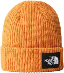 The North Face Salty Dog Beanie -Mammut Winkel the north face salty dog beanie topaz one size topaz 0